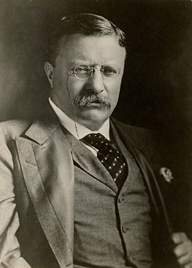 Theodore Roosevelt Zitate