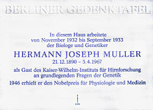 Hermann Joseph Muller Zitate