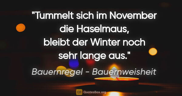 Bauernregel - Bauernweisheit Zitat: "Tummelt sich im November die Haselmaus, bleibt der Winter noch..."