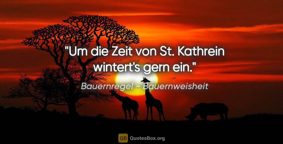 Bauernregel - Bauernweisheit Zitat: "Um die Zeit von St. Kathrein wintert's gern ein."