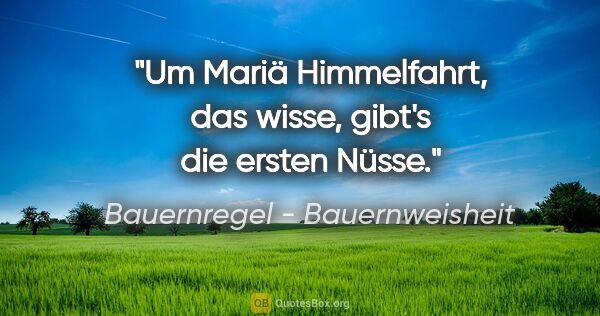 Bauernregel - Bauernweisheit Zitat: "Um Mariä Himmelfahrt, das wisse, gibt's die ersten Nüsse."