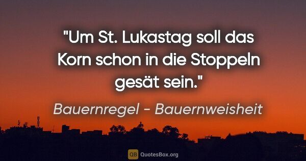 Bauernregel - Bauernweisheit Zitat: "Um St. Lukastag soll das Korn schon in die Stoppeln gesät sein."