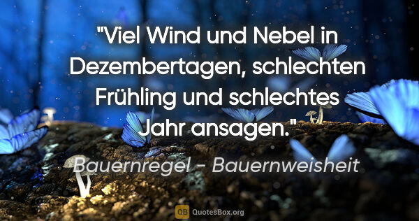 Bauernregel - Bauernweisheit Zitat: "Viel Wind und Nebel in Dezembertagen, schlechten Frühling und..."