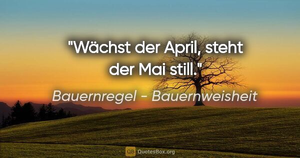 Bauernregel - Bauernweisheit Zitat: "Wächst der April, steht der Mai still."