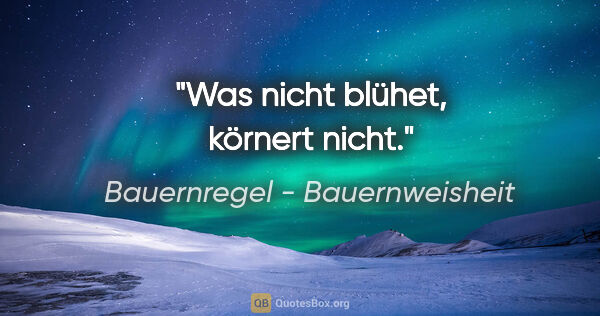 Bauernregel - Bauernweisheit Zitat: "Was nicht blühet, körnert nicht."