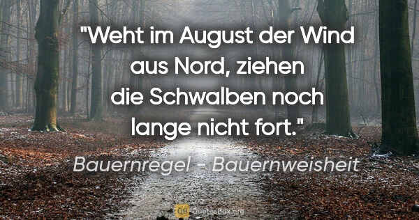 Bauernregel - Bauernweisheit Zitat: "Weht im August der Wind aus Nord, ziehen die Schwalben noch..."