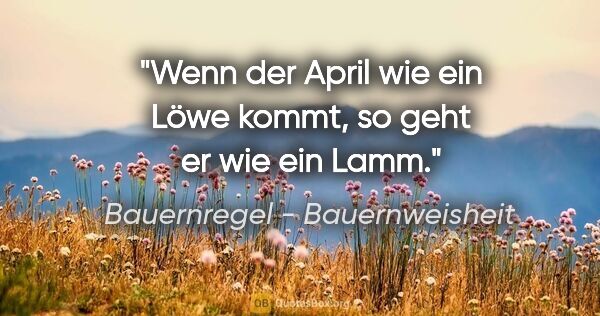 Bauernregel - Bauernweisheit Zitat: "Wenn der April wie ein Löwe kommt, so geht er wie ein Lamm."