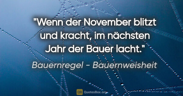 Bauernregel - Bauernweisheit Zitat: "Wenn der November blitzt und kracht, im nächsten Jahr der..."
