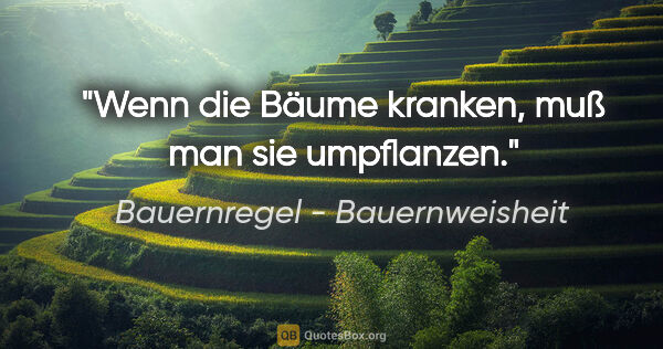 Bauernregel - Bauernweisheit Zitat: "Wenn die Bäume kranken, muß man sie umpflanzen."