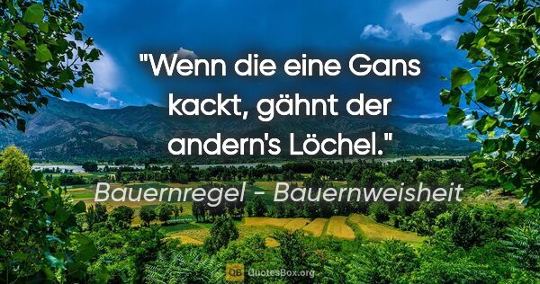 Bauernregel - Bauernweisheit Zitat: "Wenn die eine Gans kackt, gähnt der andern's Löchel."