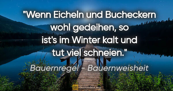 Bauernregel - Bauernweisheit Zitat: "Wenn Eicheln und Bucheckern wohl gedeihen, so ist's im Winter..."