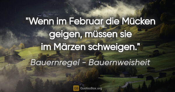 Bauernregel - Bauernweisheit Zitat: "Wenn im Februar die Mücken geigen, müssen sie im Märzen..."