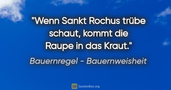 Bauernregel - Bauernweisheit Zitat: "Wenn Sankt Rochus trübe schaut, kommt die Raupe in das Kraut."