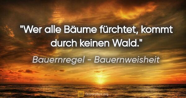 Bauernregel - Bauernweisheit Zitat: "Wer alle Bäume fürchtet, kommt durch keinen Wald."