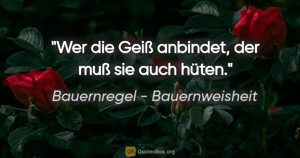 Bauernregel - Bauernweisheit Zitat: "Wer die Geiß anbindet, der muß sie auch hüten."