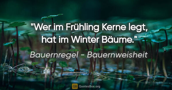 Bauernregel - Bauernweisheit Zitat: "Wer im Frühling Kerne legt, hat im Winter Bäume."