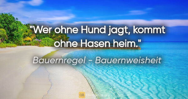 Bauernregel - Bauernweisheit Zitat: "Wer ohne Hund jagt, kommt ohne Hasen heim."