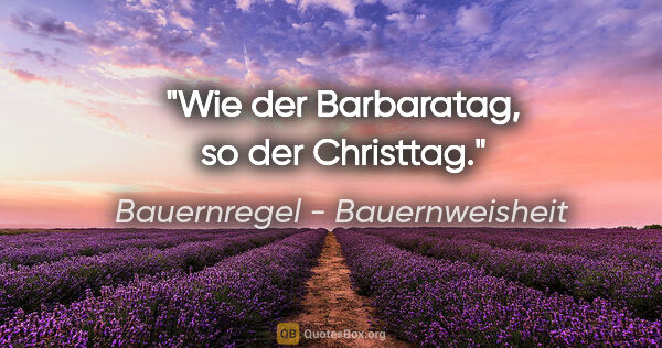 Bauernregel - Bauernweisheit Zitat: "Wie der Barbaratag, so der Christtag."