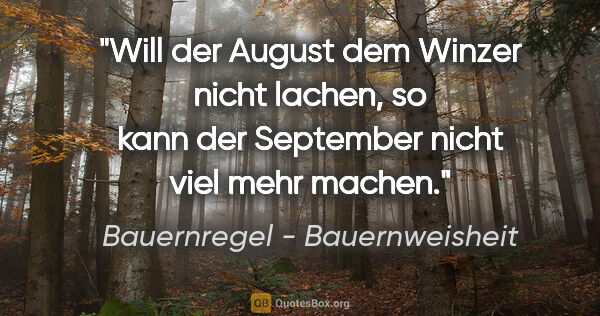 Bauernregel - Bauernweisheit Zitat: "Will der August dem Winzer nicht lachen, so kann der September..."