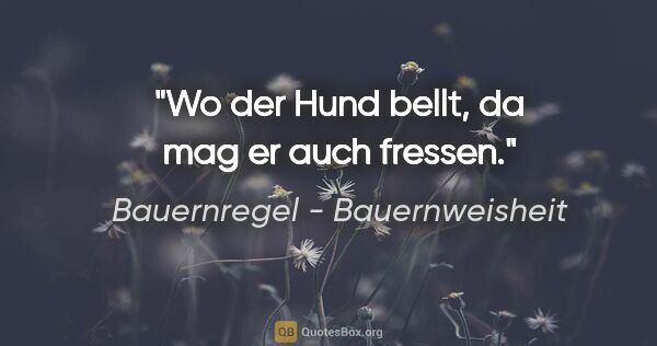 Bauernregel - Bauernweisheit Zitat: "Wo der Hund bellt, da mag er auch fressen."