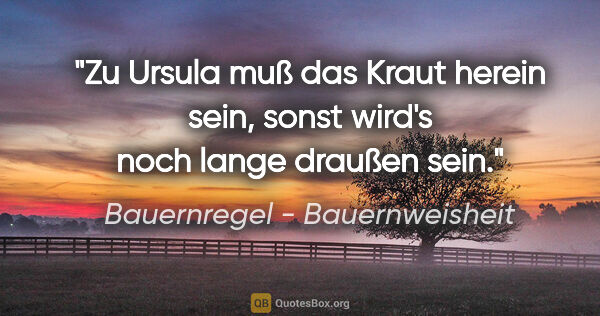 Bauernregel - Bauernweisheit Zitat: "Zu Ursula muß das Kraut herein sein, sonst wird's noch lange..."