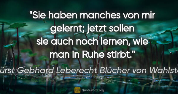 Fürst Gebhard Leberecht Blücher von Wahlstatt Zitat: "Sie haben manches von mir gelernt; jetzt sollen sie auch noch..."