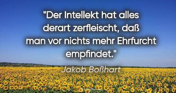 Jakob Boßhart Zitat: "Der Intellekt hat alles derart zerfleischt, daß man vor nichts..."