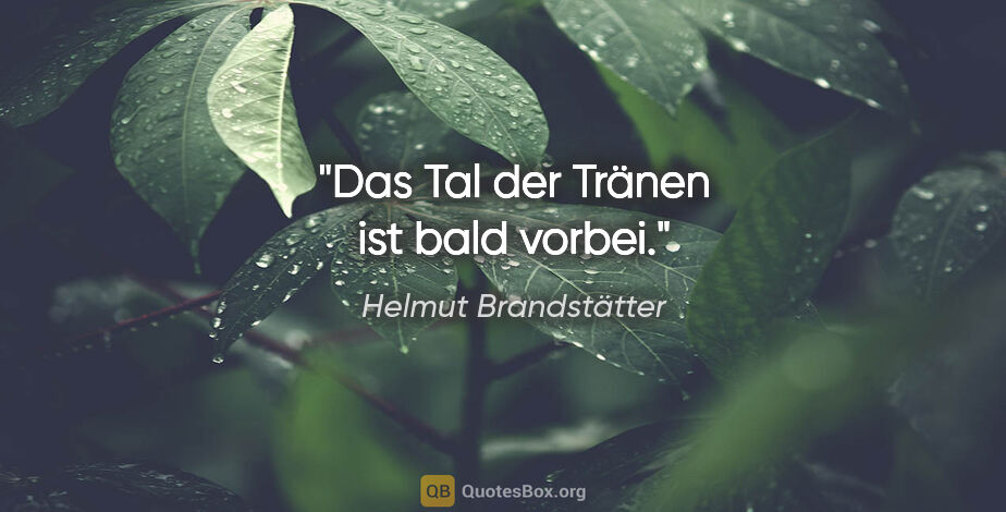 Helmut Brandstätter Zitat: "Das Tal der Tränen ist bald vorbei."