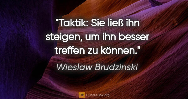 Wieslaw Brudzinski Zitat: "Taktik: Sie ließ ihn steigen, um ihn besser treffen zu können."