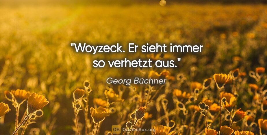 Georg Büchner Zitat: "Woyzeck. Er sieht immer so verhetzt aus."