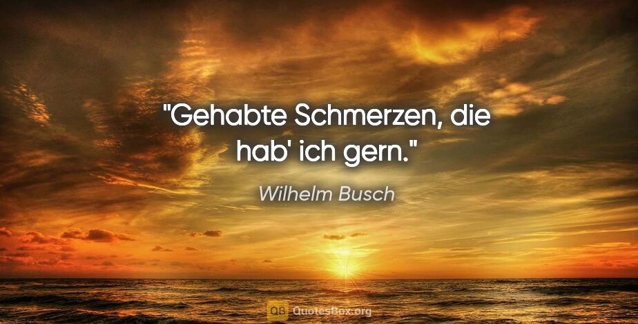 Wilhelm Busch Zitat: "Gehabte Schmerzen, die hab' ich gern."
