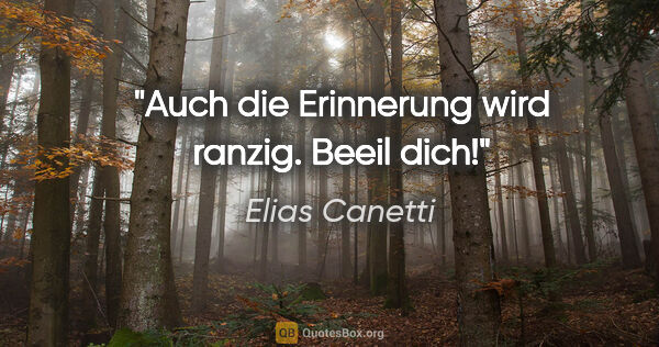 Elias Canetti Zitat: "Auch die Erinnerung wird ranzig. Beeil dich!"