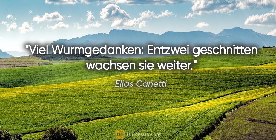 Elias Canetti Zitat: "Viel Wurmgedanken: Entzwei geschnitten wachsen sie weiter."