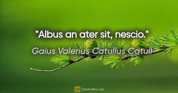 Gaius Valerius Catullus Catull Zitat: "Albus an ater sit, nescio."