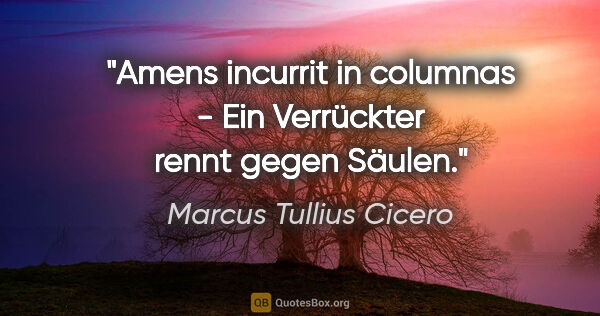 Marcus Tullius Cicero Zitat: "Amens incurrit in columnas - Ein Verrückter rennt gegen Säulen."