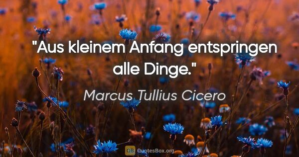 Marcus Tullius Cicero Zitat: "Aus kleinem Anfang entspringen alle Dinge."