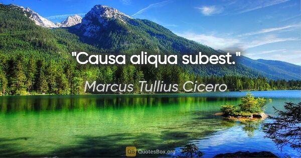 Marcus Tullius Cicero Zitat: "Causa aliqua subest."