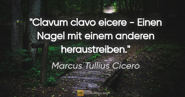 Marcus Tullius Cicero Zitat: "Clavum clavo eicere - Einen Nagel mit einem anderen..."