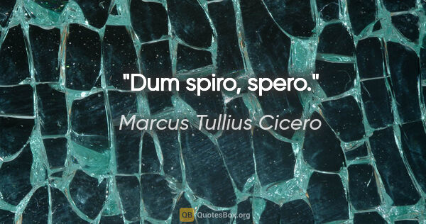 Marcus Tullius Cicero Zitat: "Dum spiro, spero."