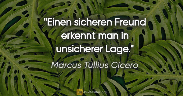 Marcus Tullius Cicero Zitat: "Einen sicheren Freund erkennt man in unsicherer Lage."