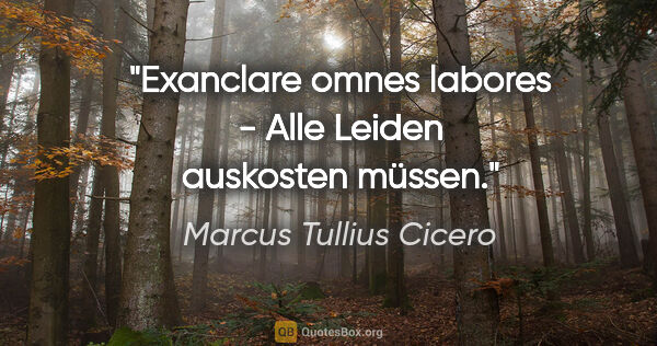 Marcus Tullius Cicero Zitat: "Exanclare omnes labores - Alle Leiden auskosten müssen."