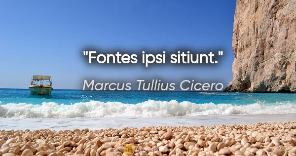 Marcus Tullius Cicero Zitat: "Fontes ipsi sitiunt."