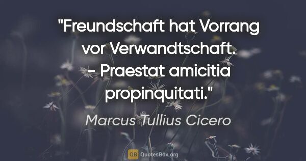 Marcus Tullius Cicero Zitat: "Freundschaft hat Vorrang vor Verwandtschaft. - Praestat..."