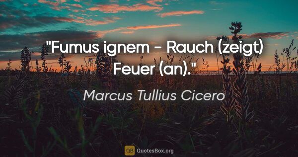 Marcus Tullius Cicero Zitat: "Fumus ignem - Rauch (zeigt) Feuer (an)."
