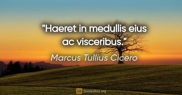 Marcus Tullius Cicero Zitat: "Haeret in medullis eius ac visceribus."