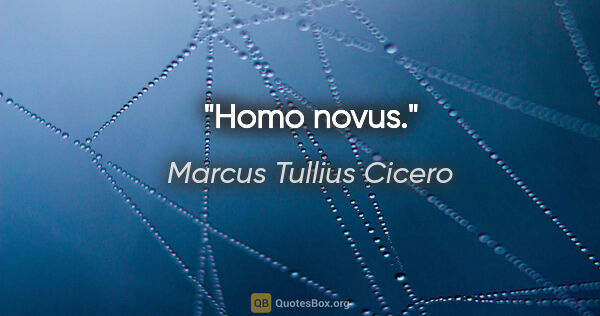 Marcus Tullius Cicero Zitat: "Homo novus."