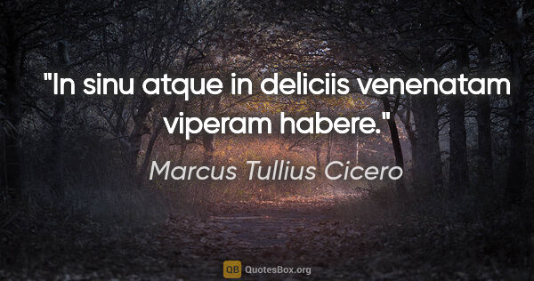 Marcus Tullius Cicero Zitat: "In sinu atque in deliciis venenatam viperam habere."