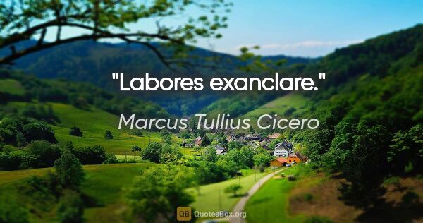 Marcus Tullius Cicero Zitat: "Labores exanclare."
