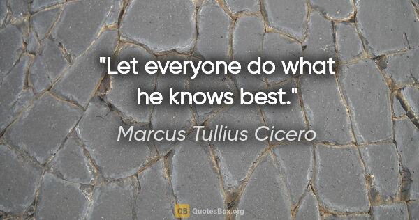 Marcus Tullius Cicero Zitat: "Let everyone do what he knows best."