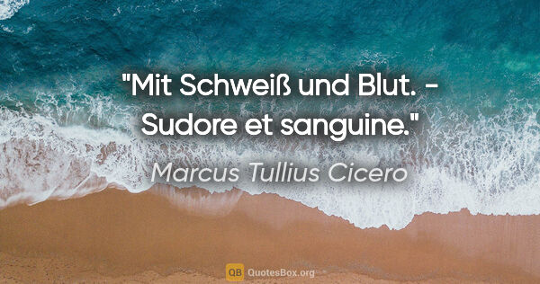 Marcus Tullius Cicero Zitat: "Mit Schweiß und Blut. - Sudore et sanguine."
